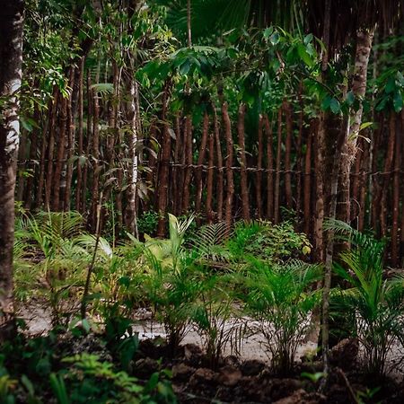 Lunita Jungle Experience Hotell Puerto Morelos Eksteriør bilde