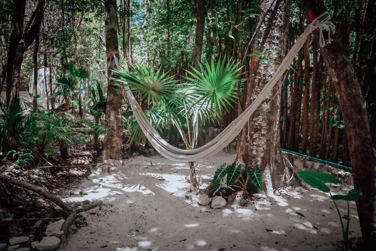 Lunita Jungle Experience Hotell Puerto Morelos Eksteriør bilde