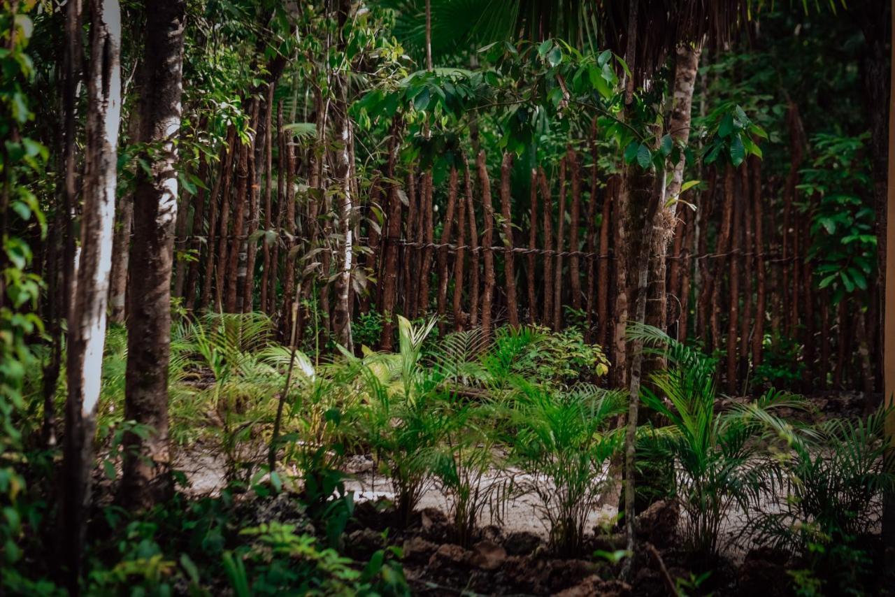 Lunita Jungle Experience Hotell Puerto Morelos Eksteriør bilde