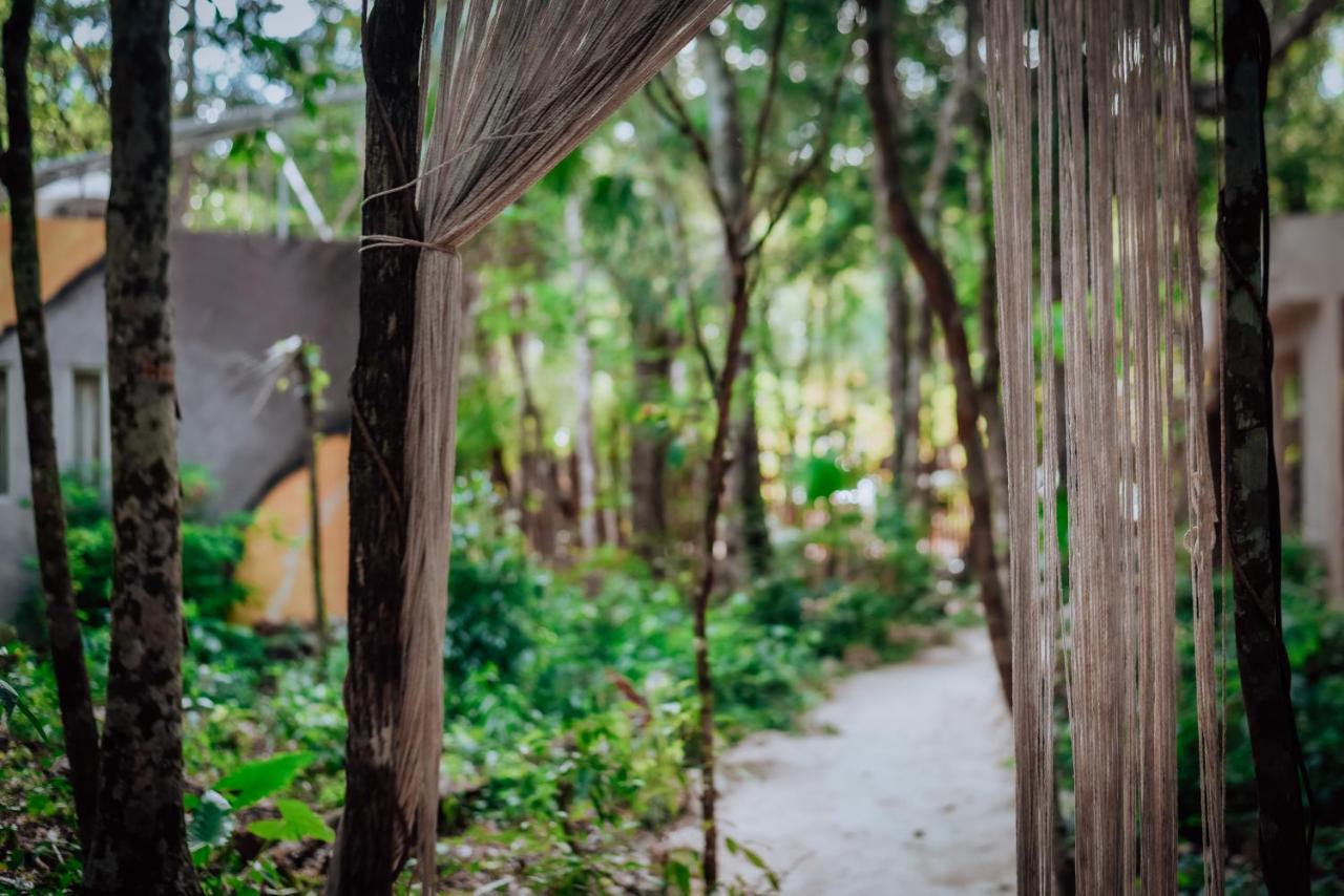 Lunita Jungle Experience Hotell Puerto Morelos Eksteriør bilde