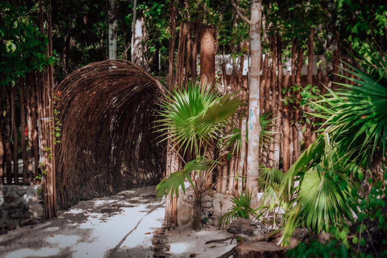 Lunita Jungle Experience Hotell Puerto Morelos Eksteriør bilde