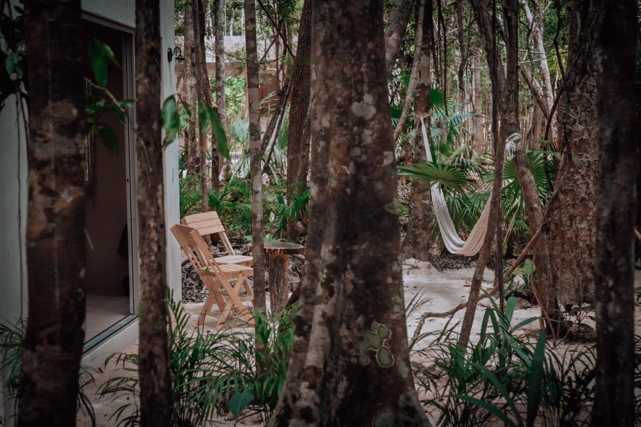 Lunita Jungle Experience Hotell Puerto Morelos Eksteriør bilde
